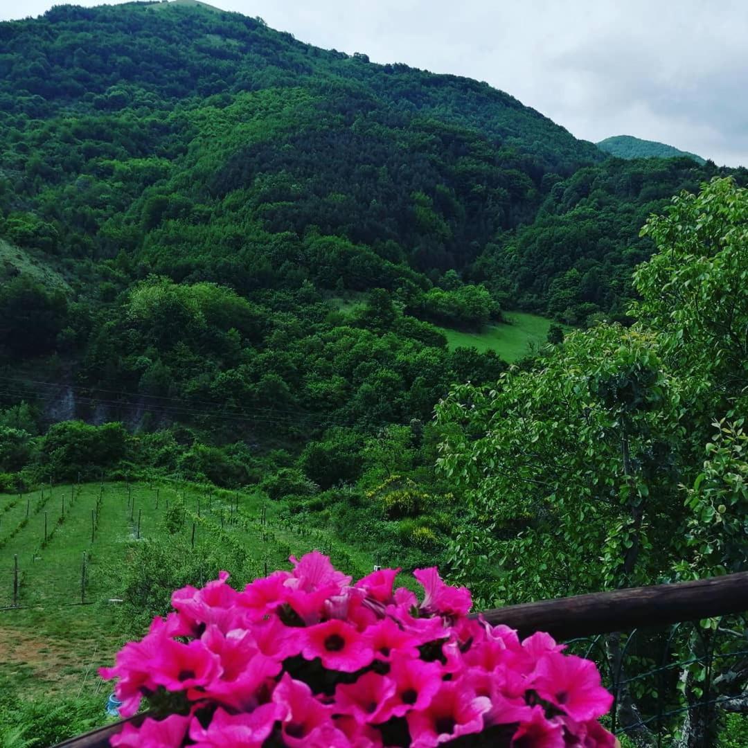 B&B Il Ghiro-Country House Mormanno Cameră foto