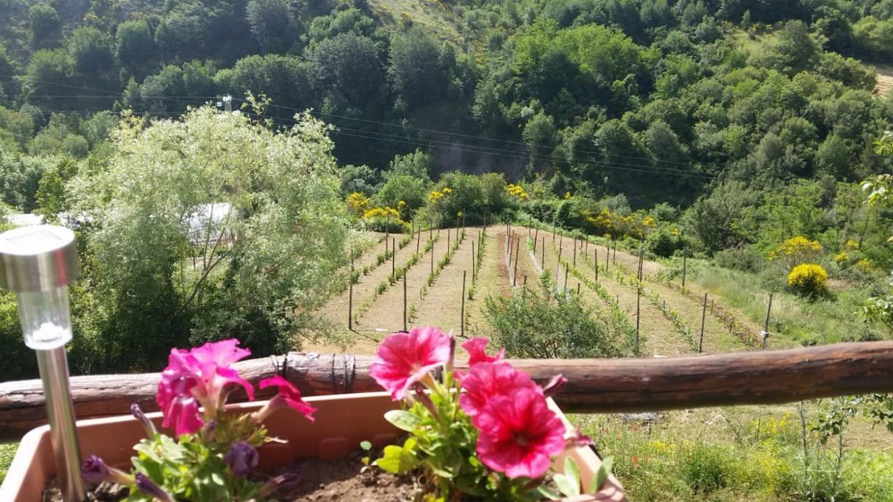 B&B Il Ghiro-Country House Mormanno Exterior foto